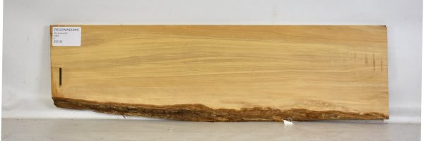 YELLOWWD1044_2