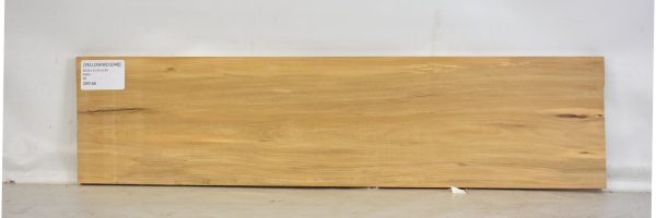 YELLOWWD1048_2