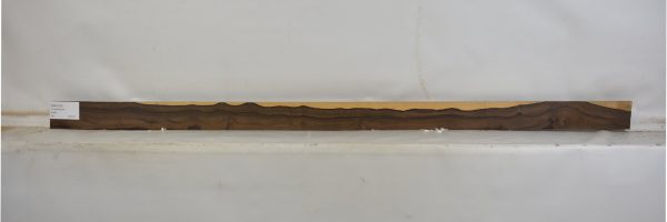 ZIRI1079_1