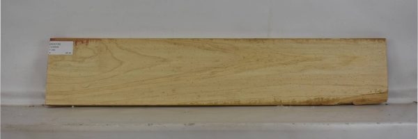 ASH1135_2