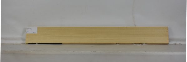 AVO1110_2