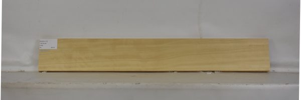 AVO1111_2