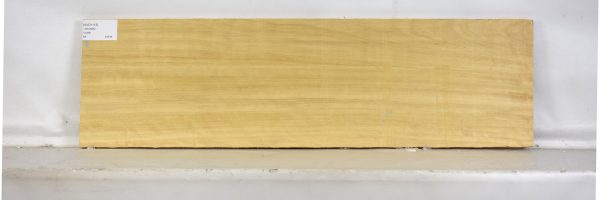 AVO1113_1