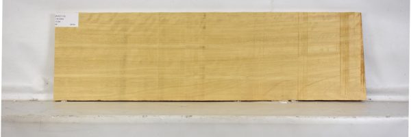 AVO1113_2