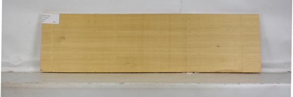 AVO1118_1