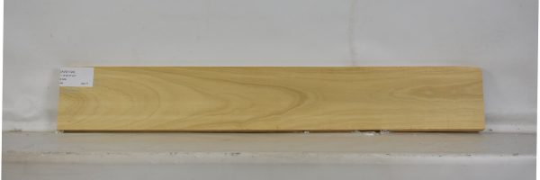AVO1124_1
