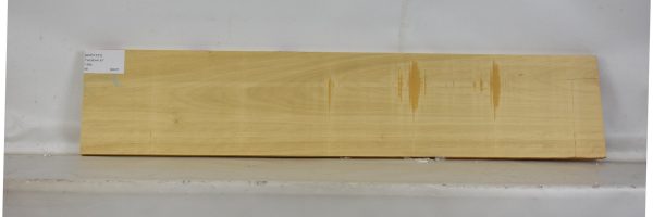 AVO1131_1