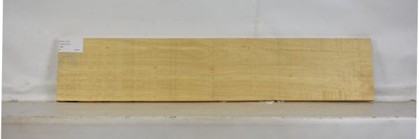 AVO1132_1