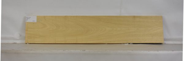 AVO1134_1