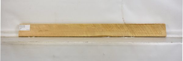 BASS1069_2