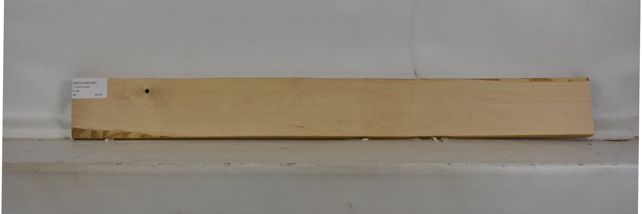 Beech - American 2 BEECHAM1069_2