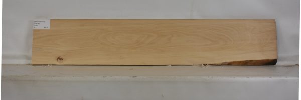 BEECHAM1073_1