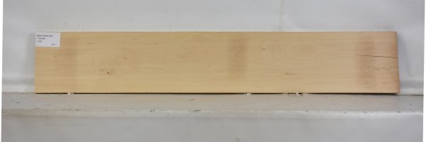 BEECHAM1080_2