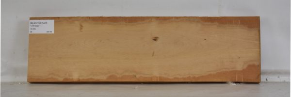 BEECHES1039_1