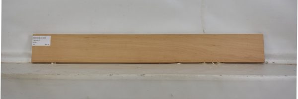 BEECHES1065_1