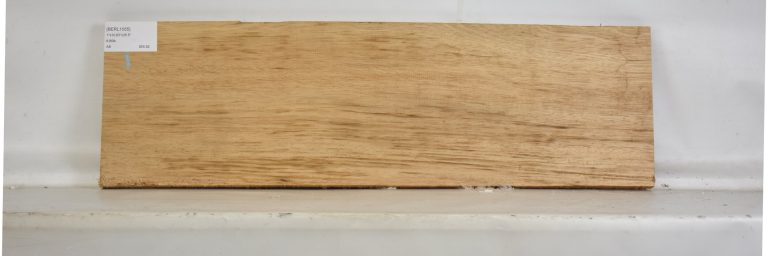BERL1055_1