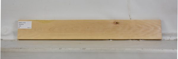 BIRFL1157_2