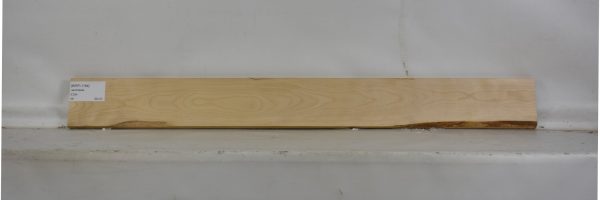 BIRFL1164_2