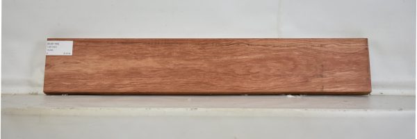 BUB1169_1