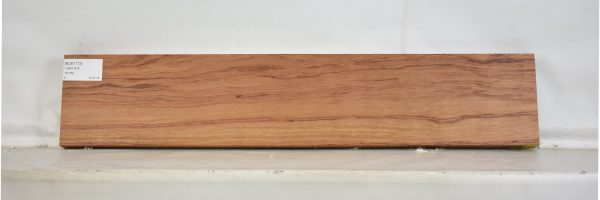 BUB1173_1