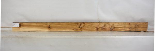 CEDH1001_1