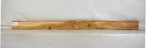 CEDH1001_2