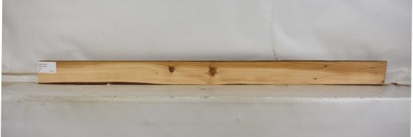 CEDH1003_2