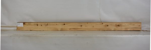 CEDH1009_1