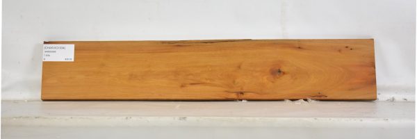 CHAKVIG1034_1