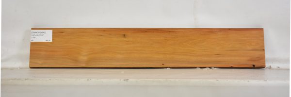 CHAKVIG1042_2
