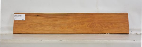 CHAKVIG1047_1