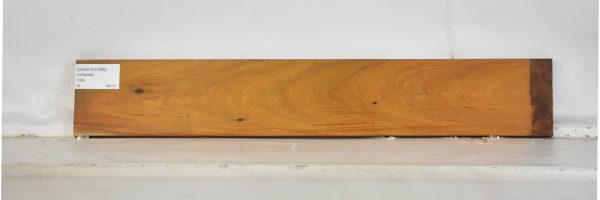 CHAKVIG1055_2