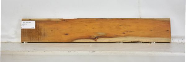 CHAKVIG1056_1