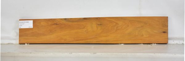 CHAKVIG1058_1