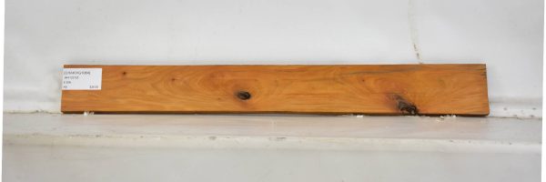 CHAKVIG1064_2