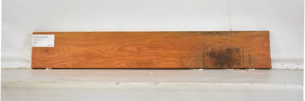 CHAKVIG1067_2