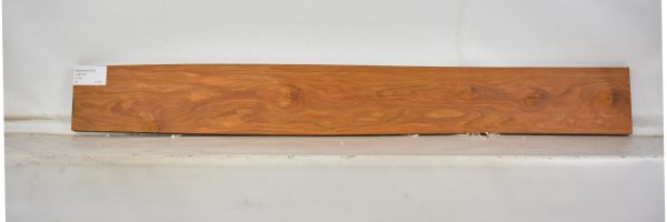 CHAKVIG1070_2