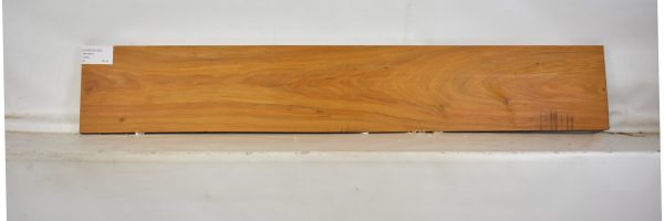 CHAKVIG1080_2
