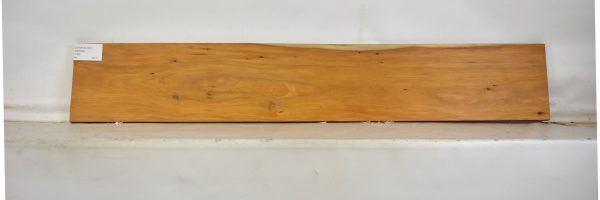 CHAKVIG1081_1