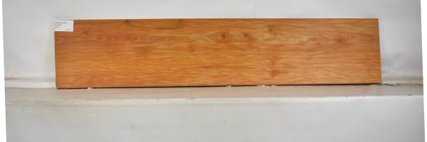 CHAKVIG1085_2