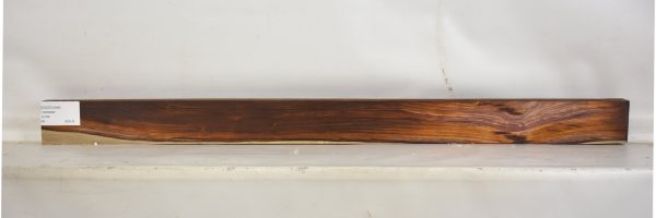 COCO1244_1