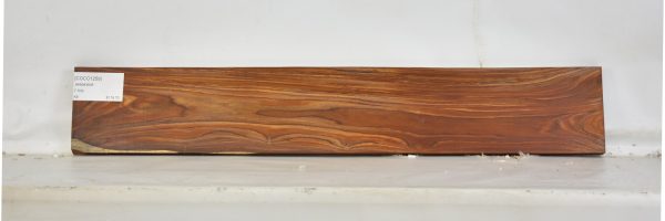 COCO1259_2