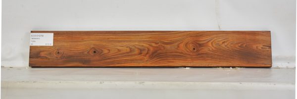 COCO1279_2