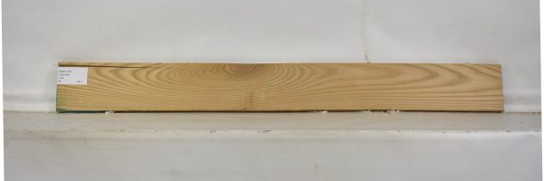 ELM1118_2