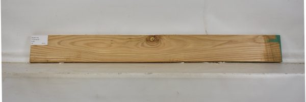 ELM1119_1