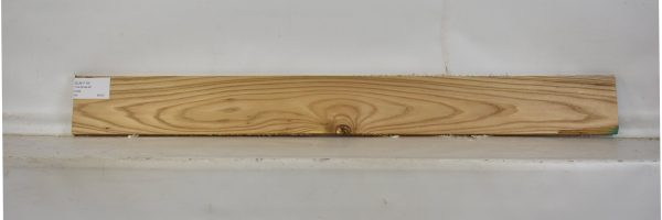 ELM1119_2