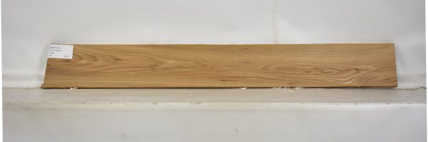 ELM1121_2