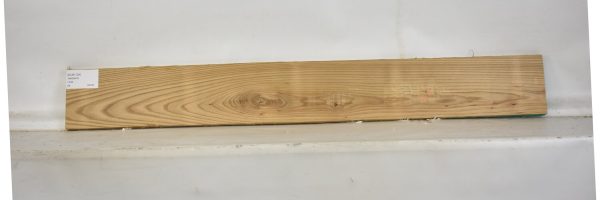 ELM1124_2