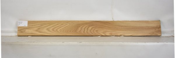 ELM1125_2