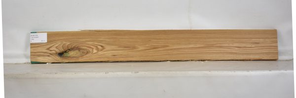 ELM1133_1